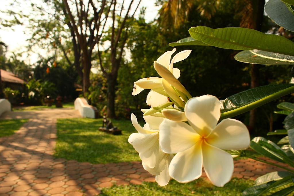 Secret Garden Chiangmai San Kamphaeng Exterior foto